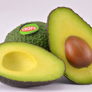 Trops culminates the first shipment of Spanish Hass avocado to USA